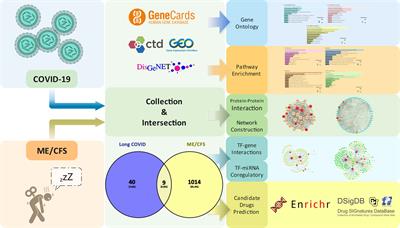 Bioinformatics and systems biology approach to identify the pathogenetic link of Long COVID and Myalgic Encephalomyelitis/Chronic Fatigue Syndrome